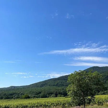 Sas La Perle D'alsace アパート Bernardswiller