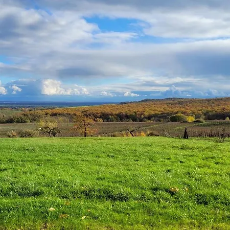 Sas La Perle D'alsace アパート *