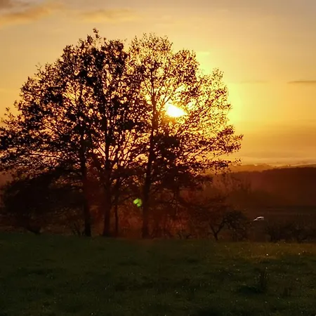 Sas La Perle D'alsace アパート Bernardswiller