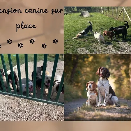 アパート Sas La Perle D'alsace